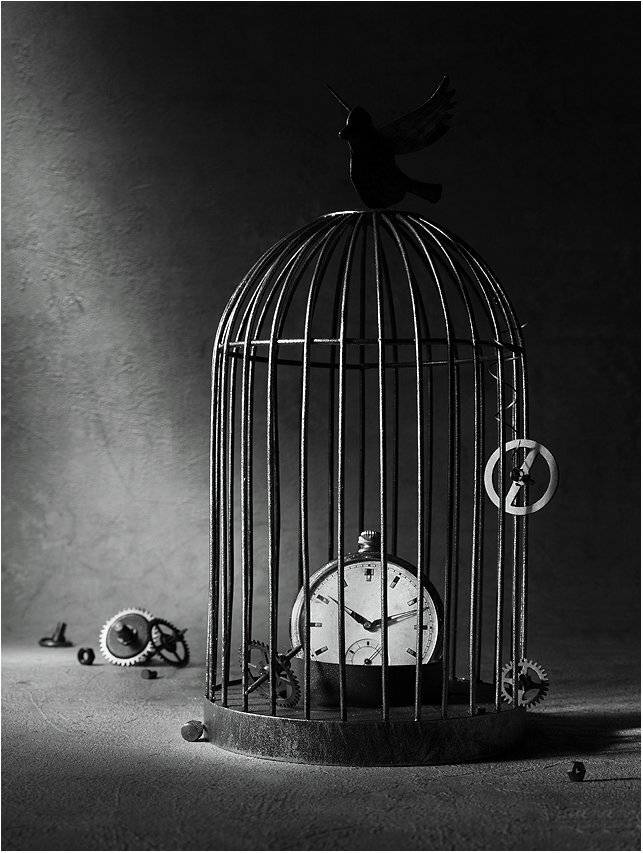 , Вика Иванова