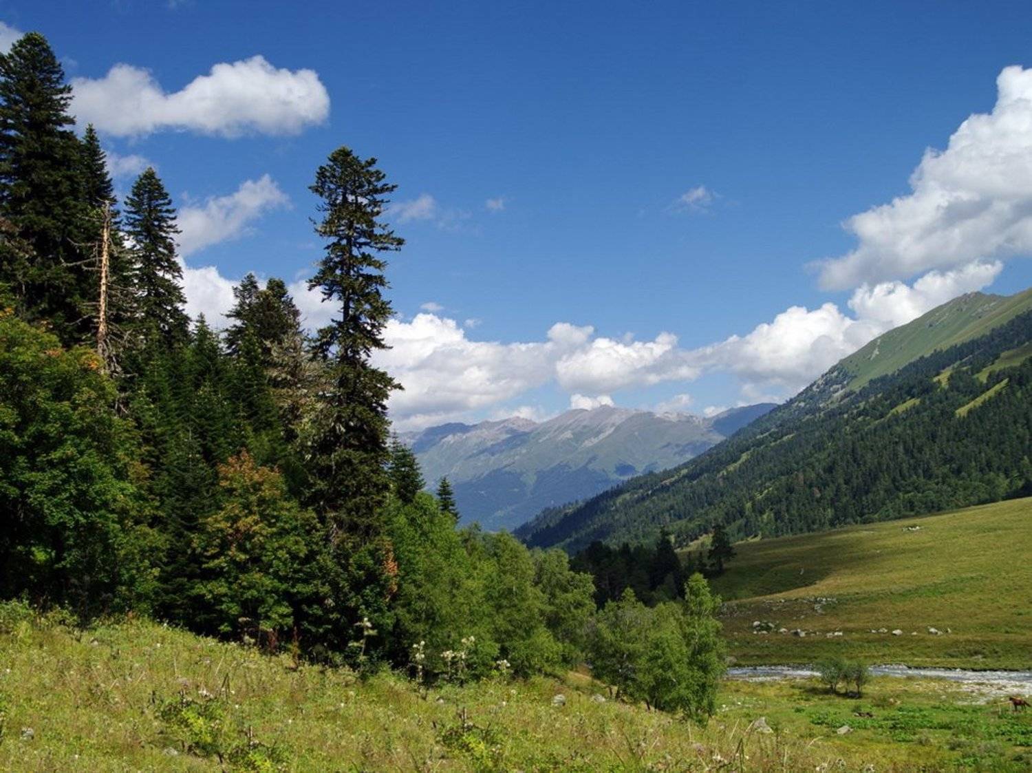 горы, лето, облака, лес, Арсен Алабердов