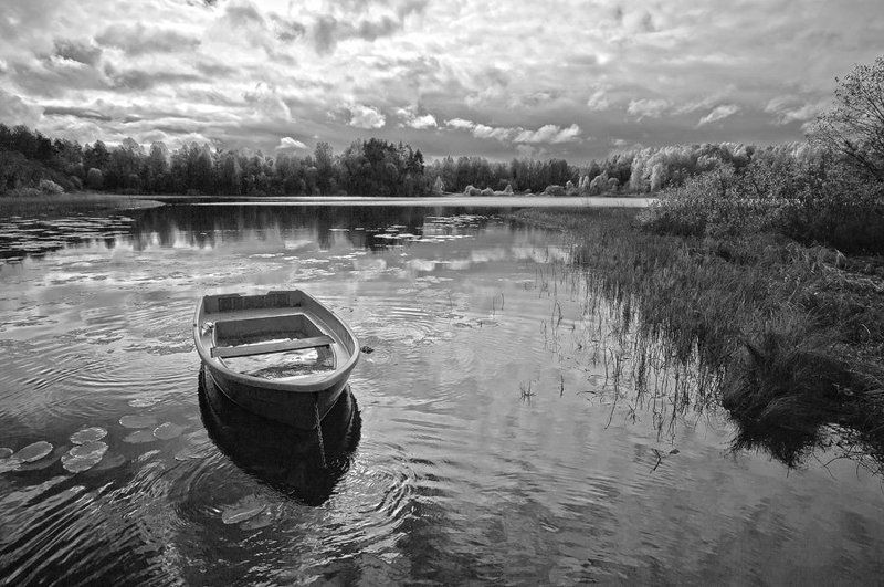 Про одиночество... фото превью