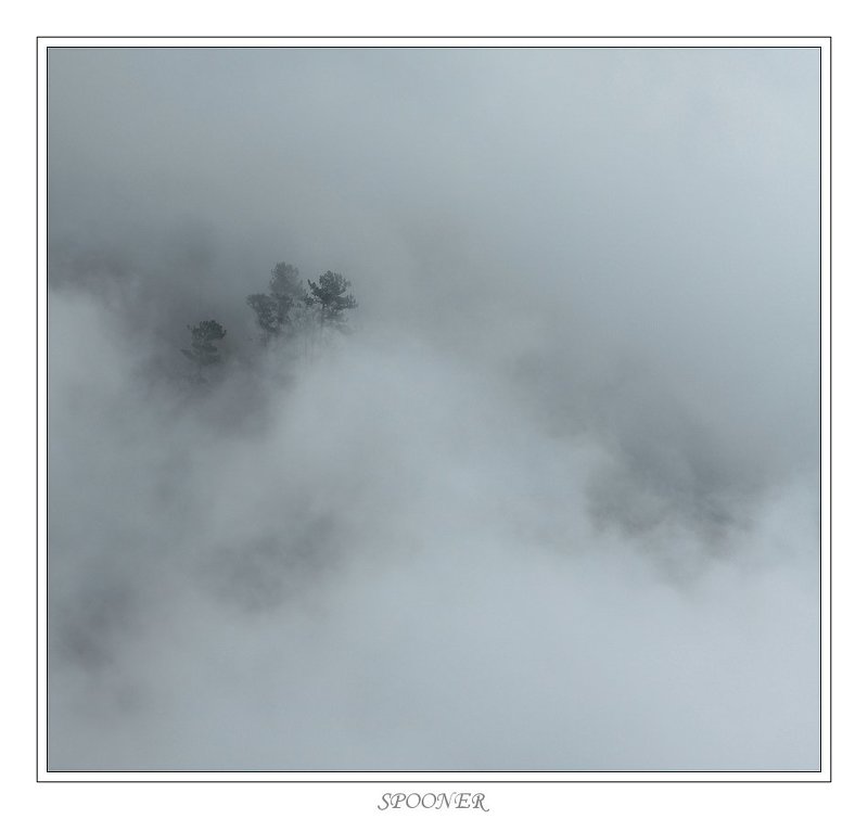 * * * фото превью