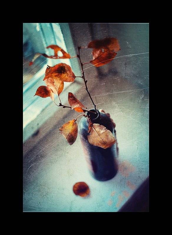 , Svoboda Andreeva