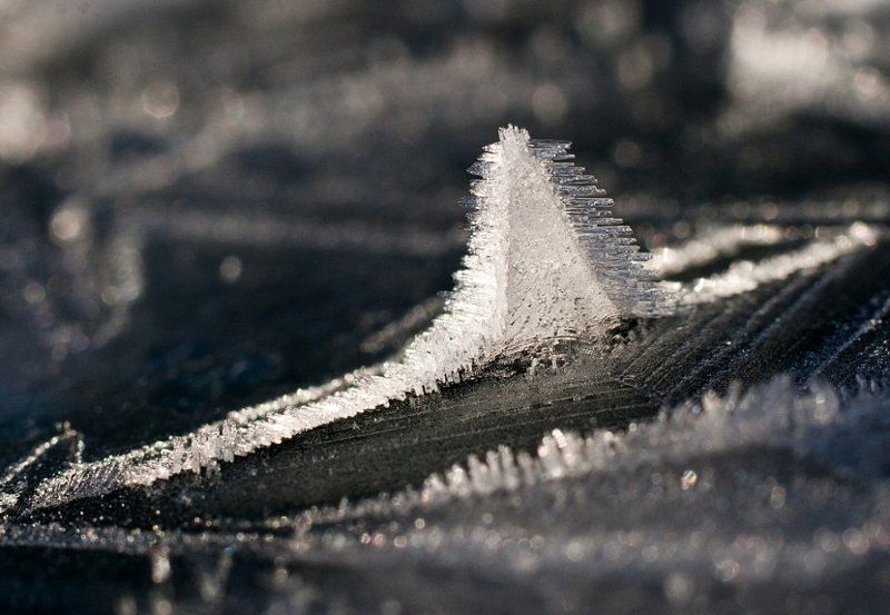 А ты такой холодный, как айсберг в океане фото превью