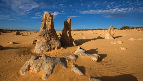 Pinnacle Desert