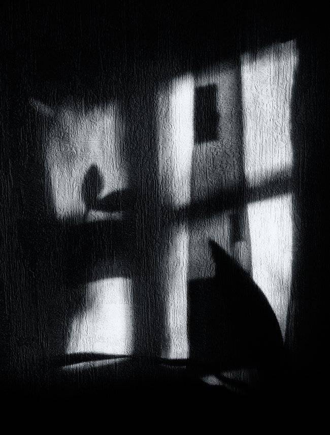 , Татьяна Аверина