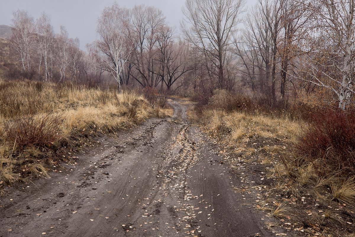 , Качурин Алексей