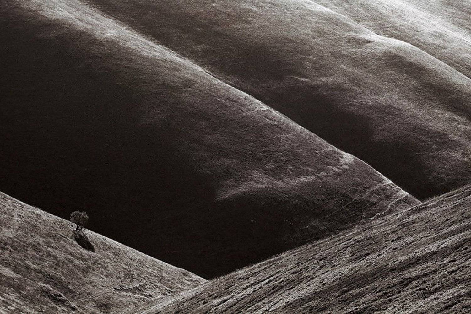 kodak, film, b/w, Тарас