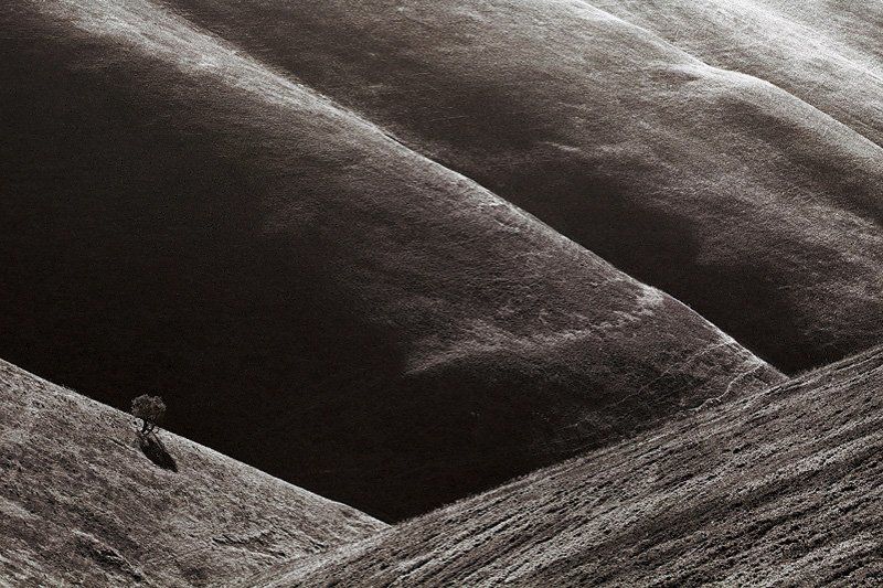 kodak, film, b/w *\\\\\\ фото превью