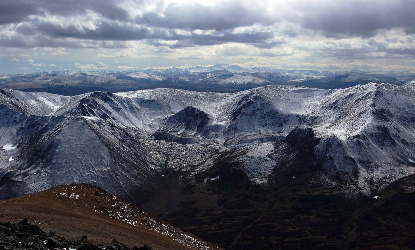 алтай, найрамдал, южно-чуйский, тара, Артем Головин
