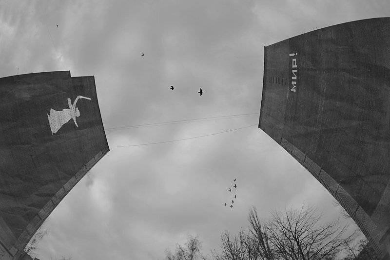 kaliningrad, house, birds,, Vladimir Laur