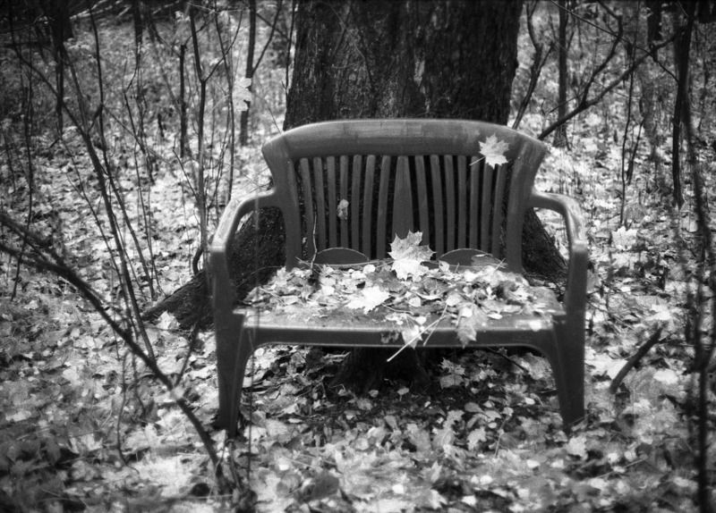 Одиночество (Сокольники. Осень) фото превью