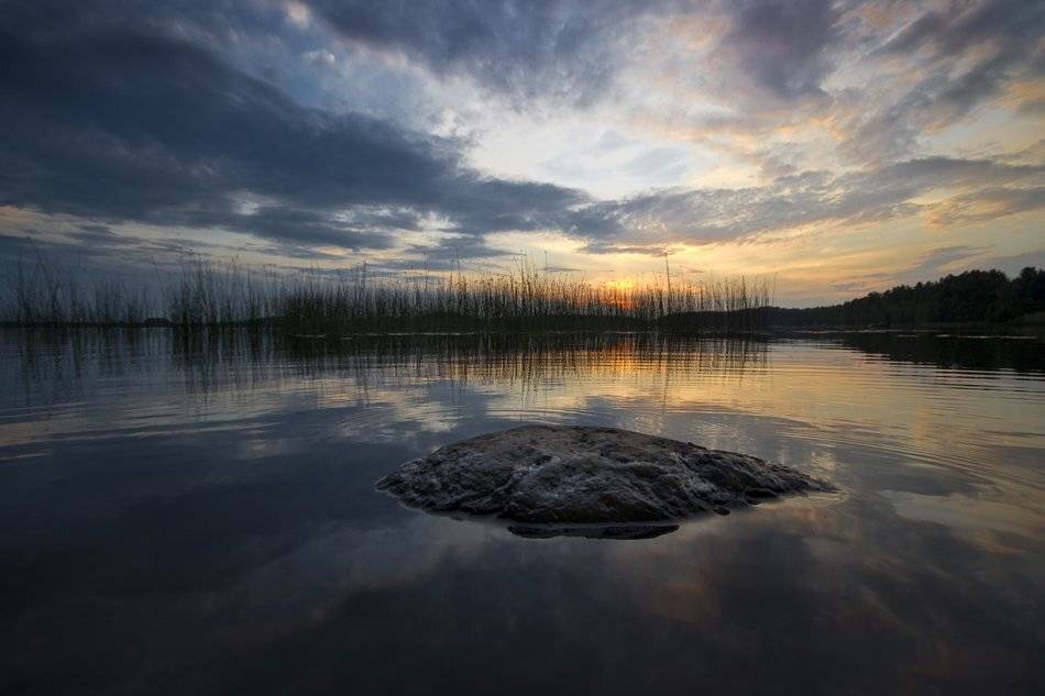 , Rimantas Bikulcius