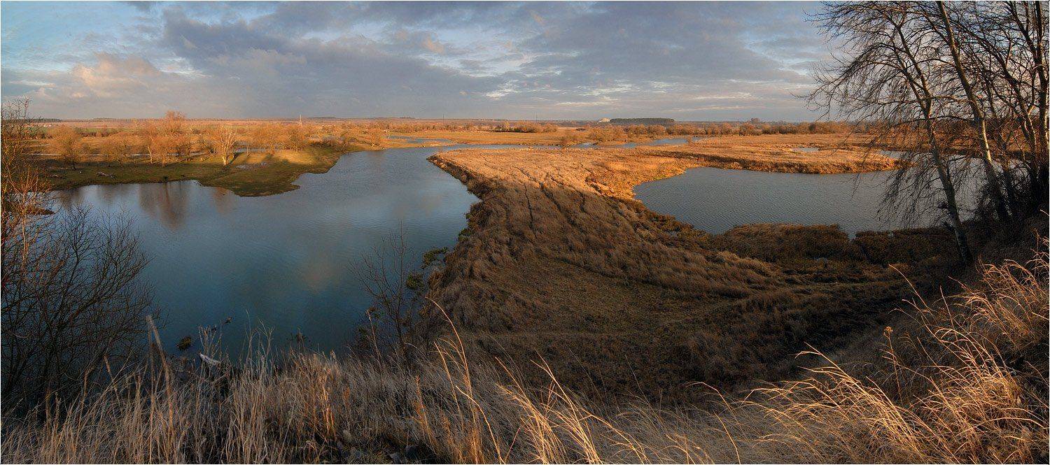 , Николай Шахманцир