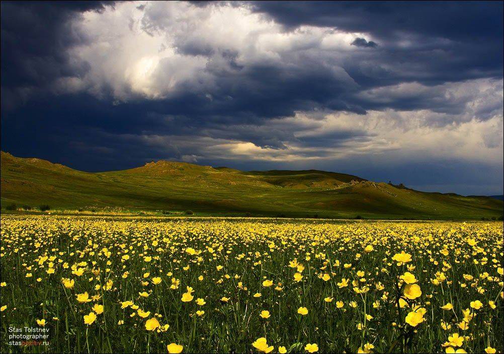 , Станислав Толстнев