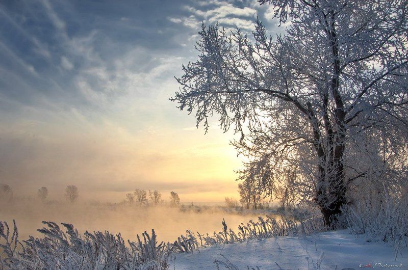 ***** фото превью