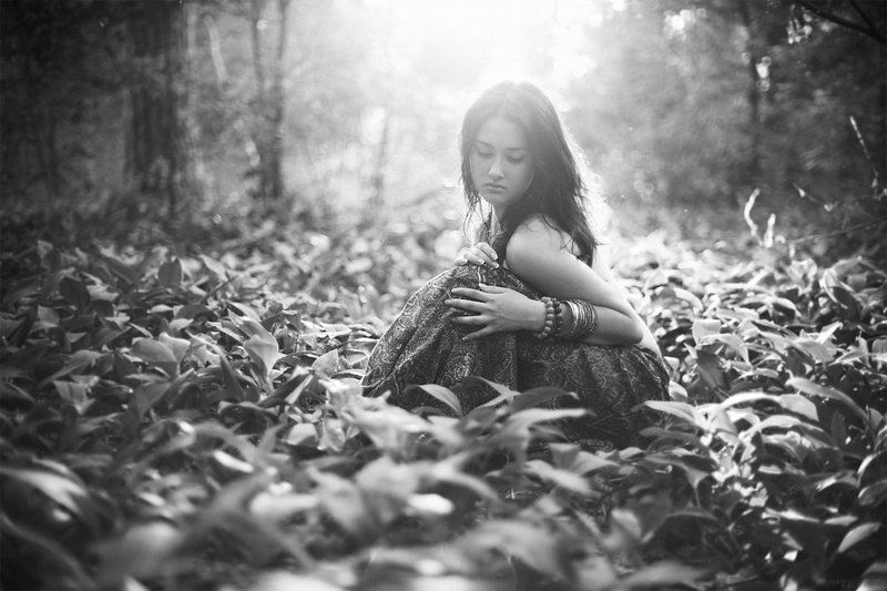 forest flowers фото превью