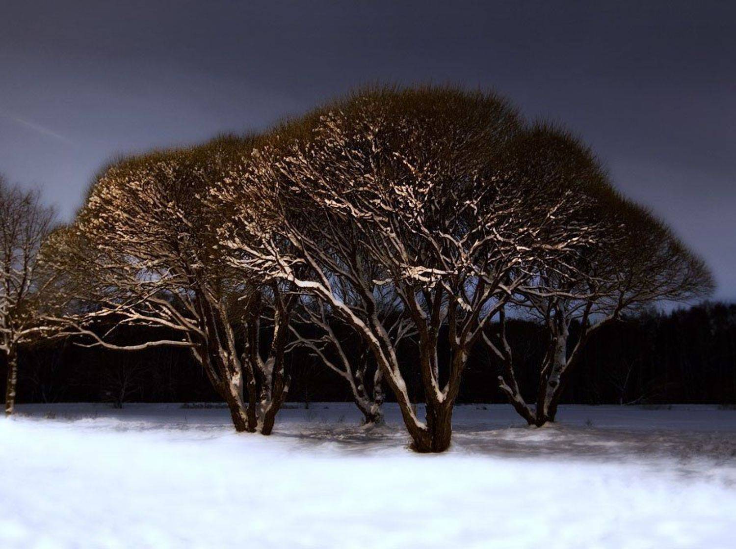 , Юлия Болдинова