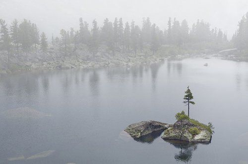 Остров туманный