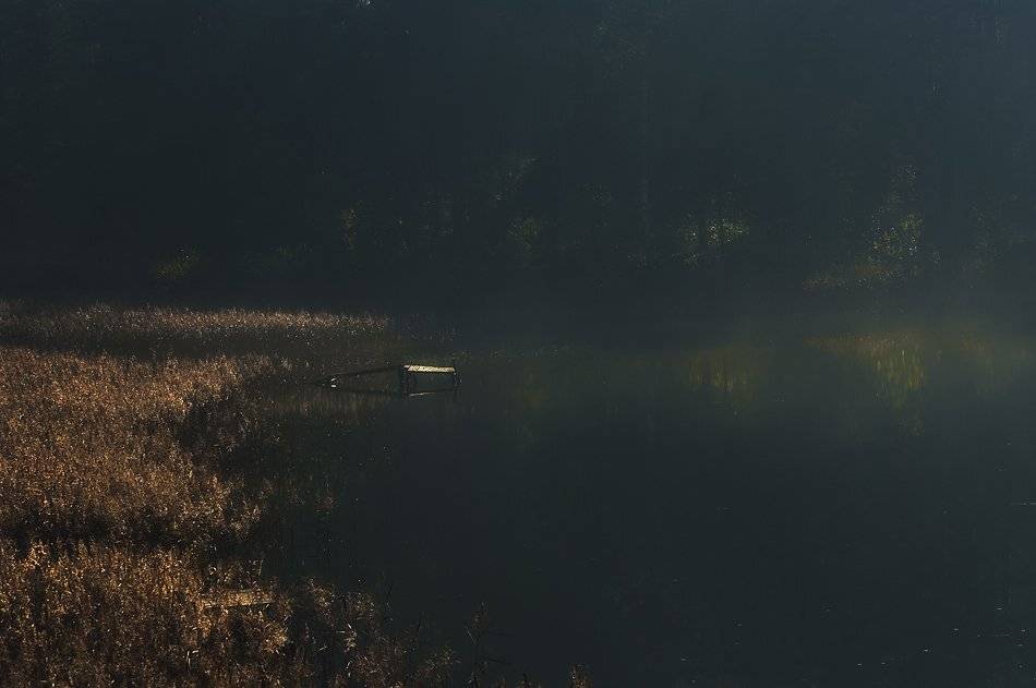 , Rimantas Bikulcius