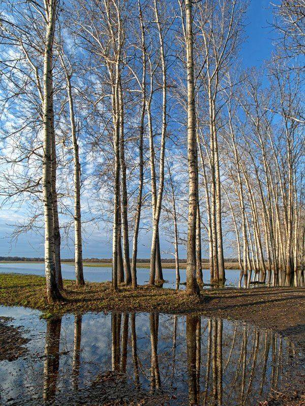 весна, Екатерина (PhotoJourneys.ru) Васягина