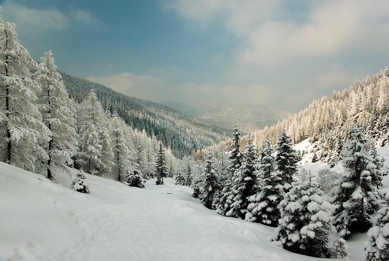 И это все о ней... фото превью