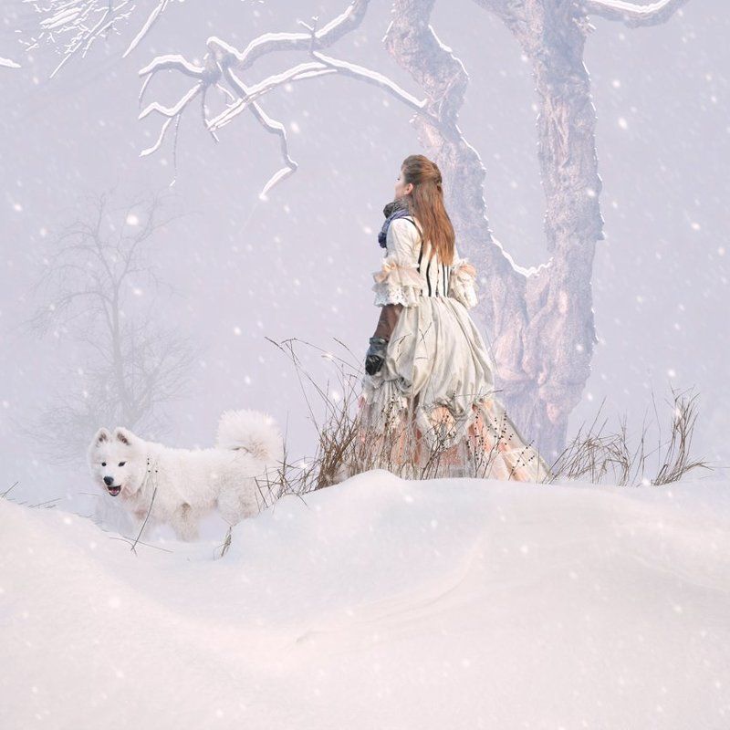 dog, white, snow, winter, woman, fantasy, tree, journey When a dog enjoy the flakes фото превью