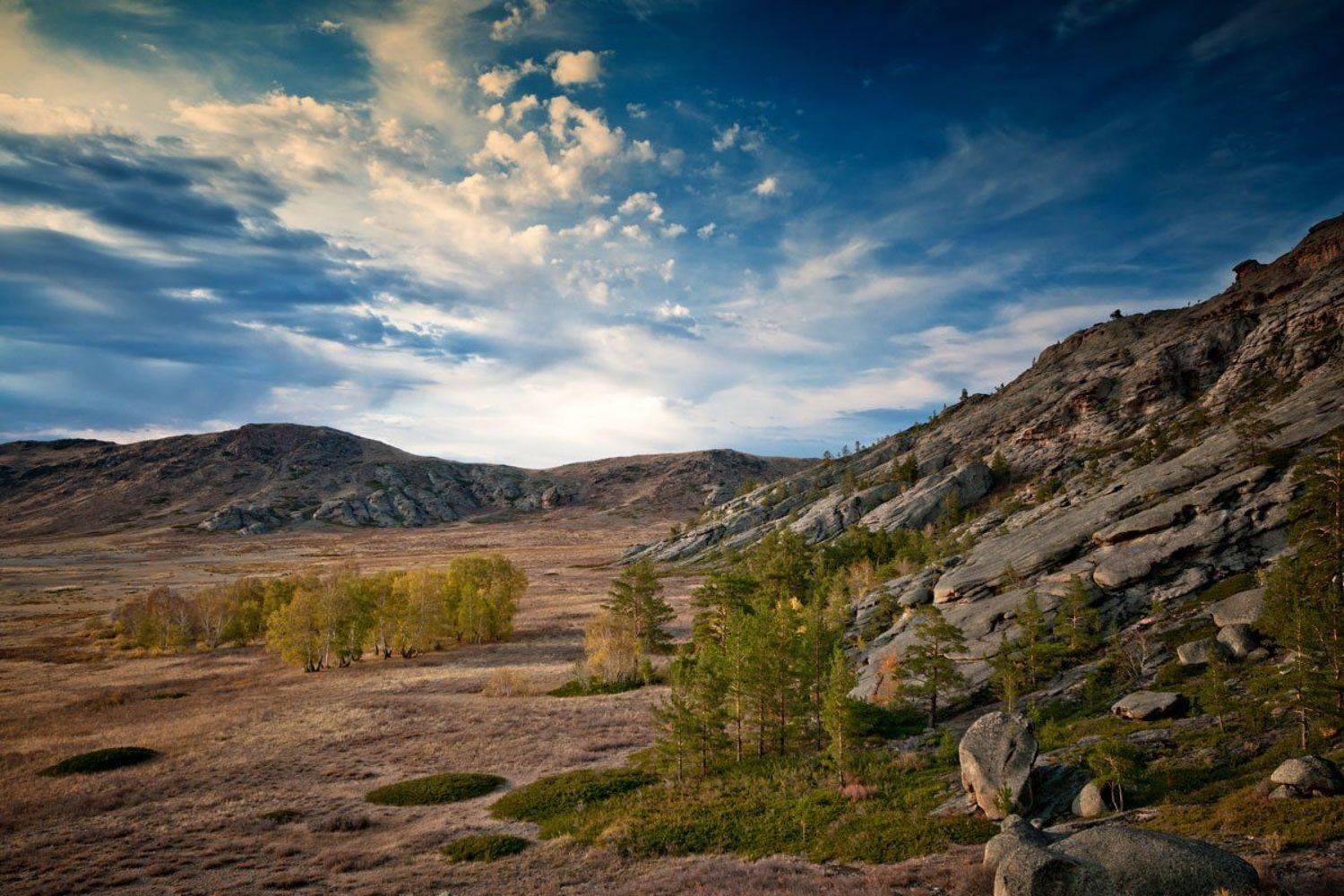 , Дмитрий Елисеев