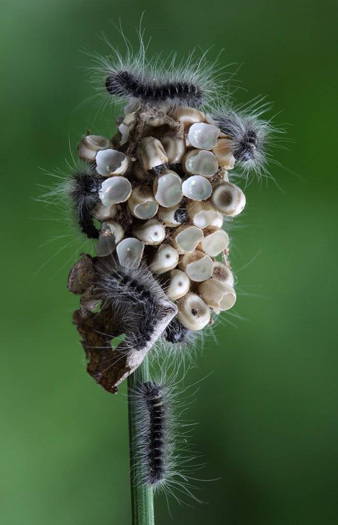 , Сергей Таланов