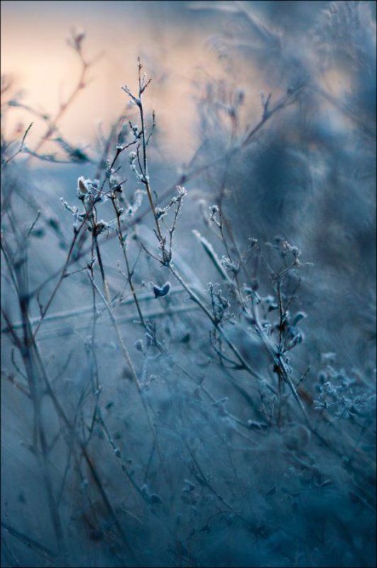 ... фото превью