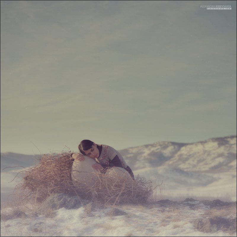 Сказка о том, где был солнечный свет фото превью