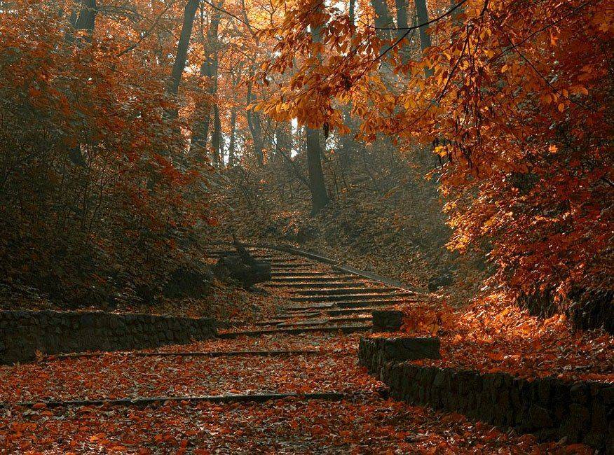 , Александр