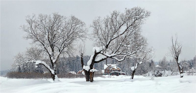 падал мелкий снег... фото превью