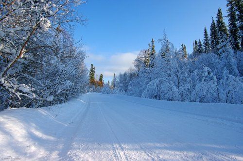 Зимняя дорога