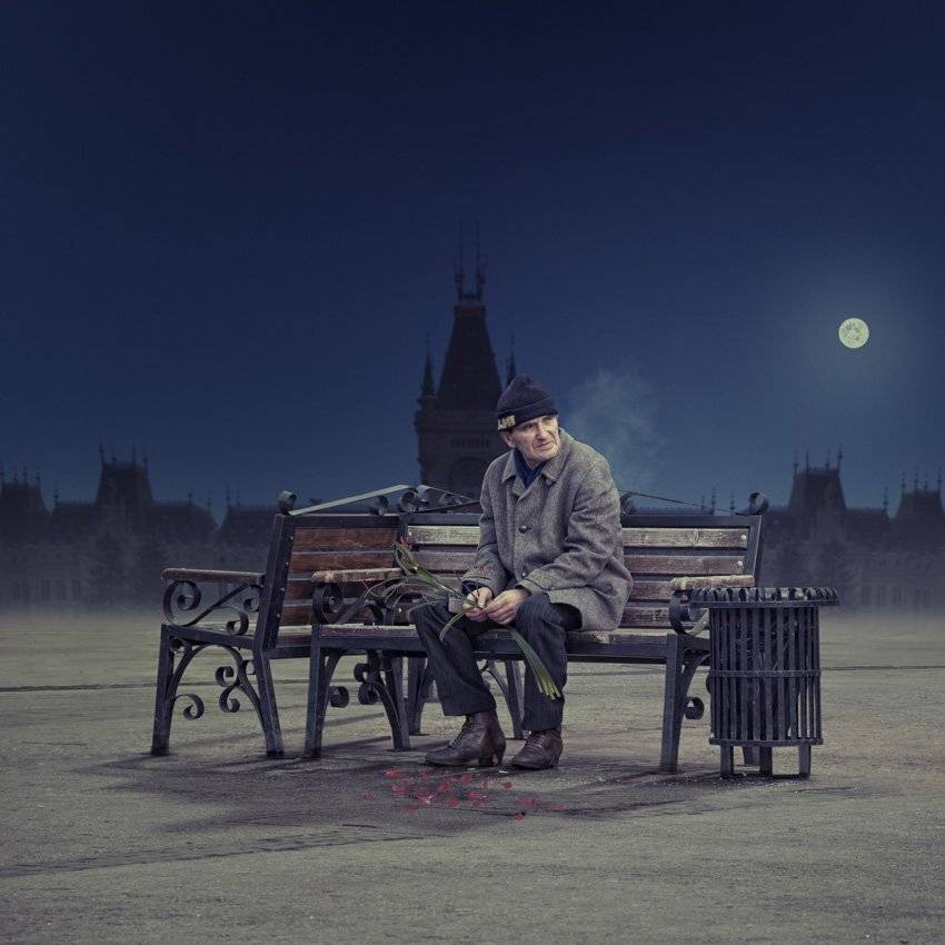 flower, night, bench, moon, man, alone, wait, rose, broken, steam, light pole, Caras Ionut