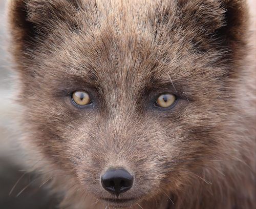 Посмотри мне в глаза