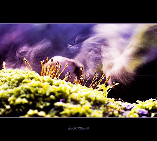 Galactic winds of change