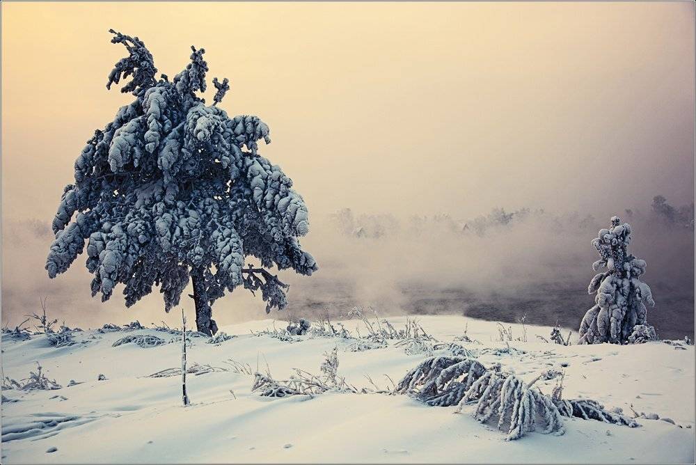 , Сергей Низовцев