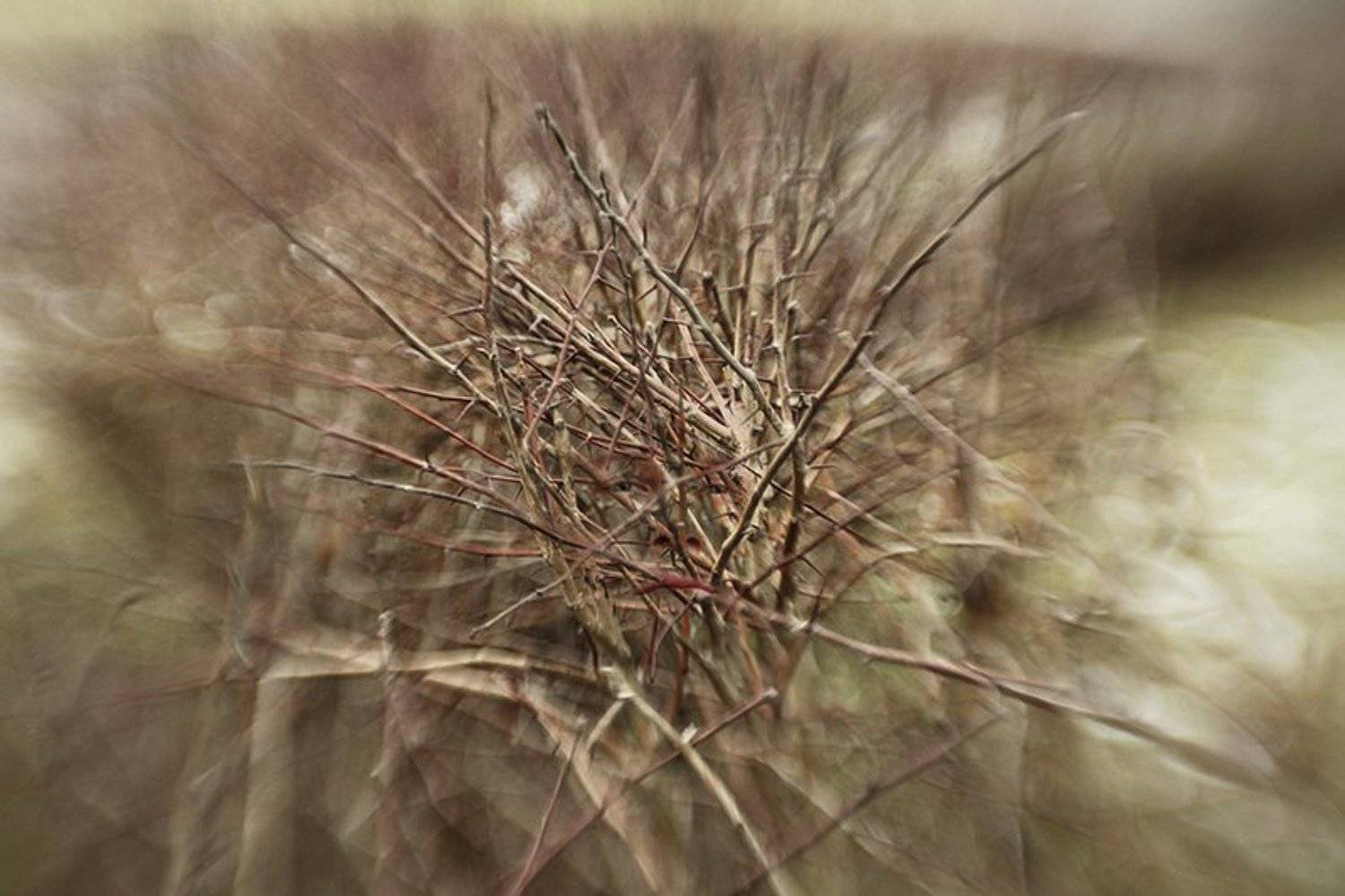 , Конашук Антон