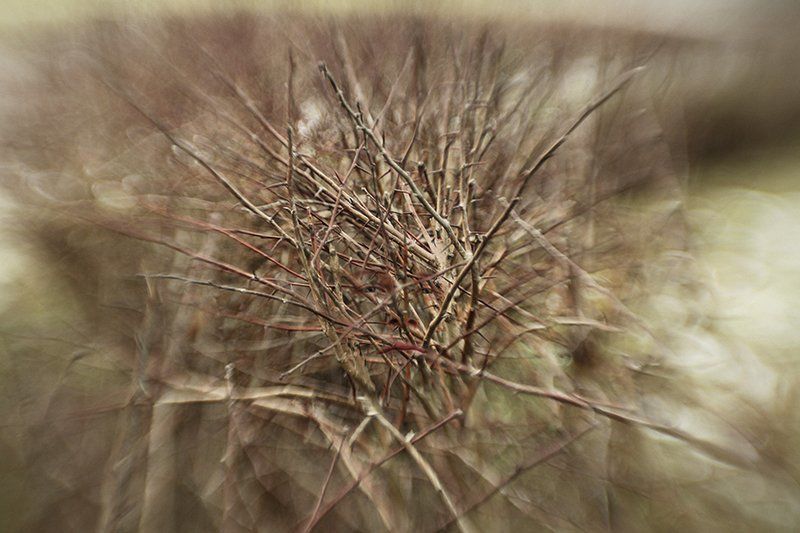 Портрет эгоиста фото превью