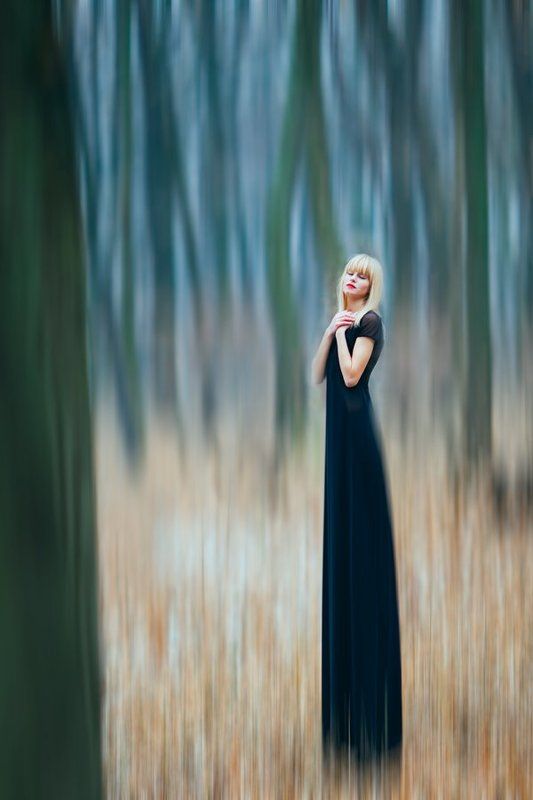 Forest spiritphoto preview