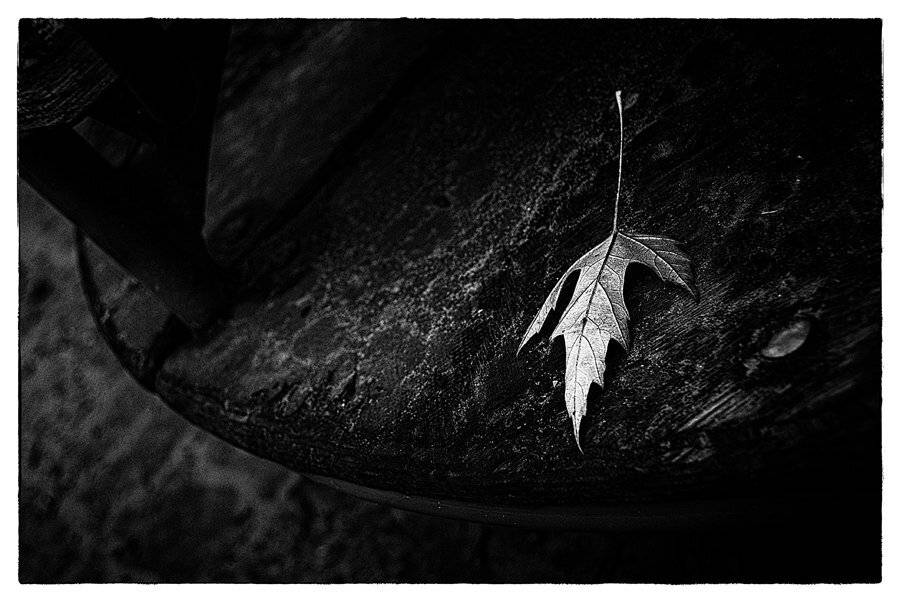 , Сергей Кобылько