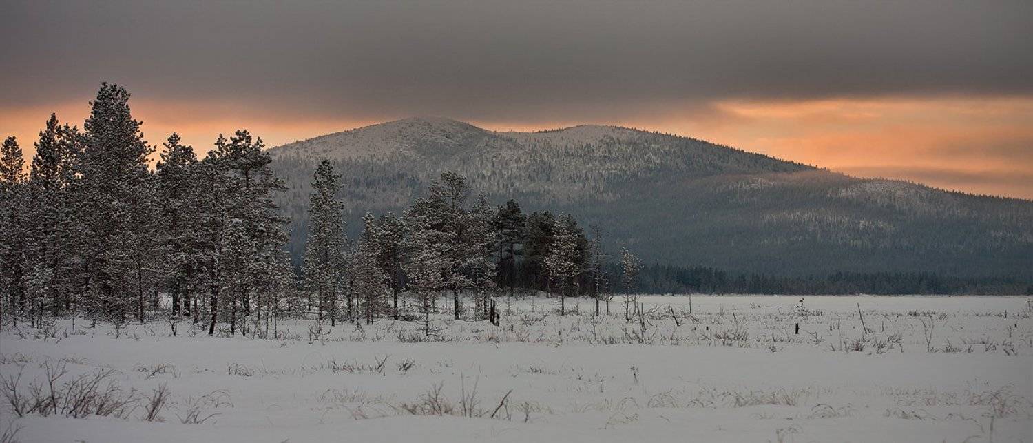 кольский, полуостров, зима, Nikolai (locus)
