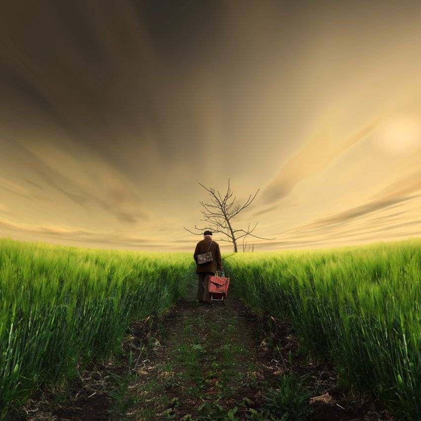 man, tree, walk, luggage, bag, umbrella, clouds, shinning, grey, wheat, green, dreamer, alone, goal, Caras Ionut