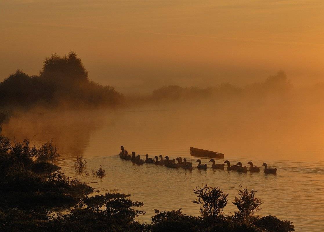 , Александр