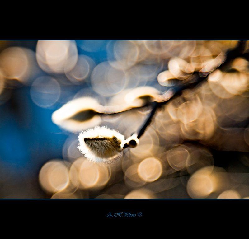 out, of, the, blue Out of the blue фото превью