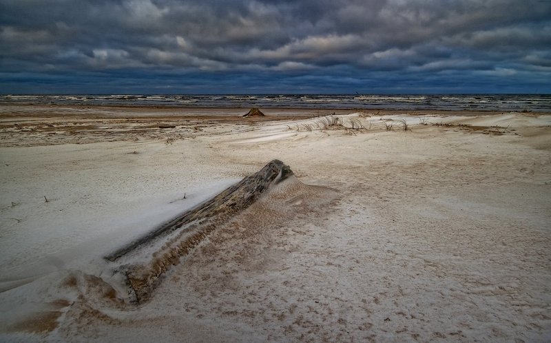 истории бревна фото превью