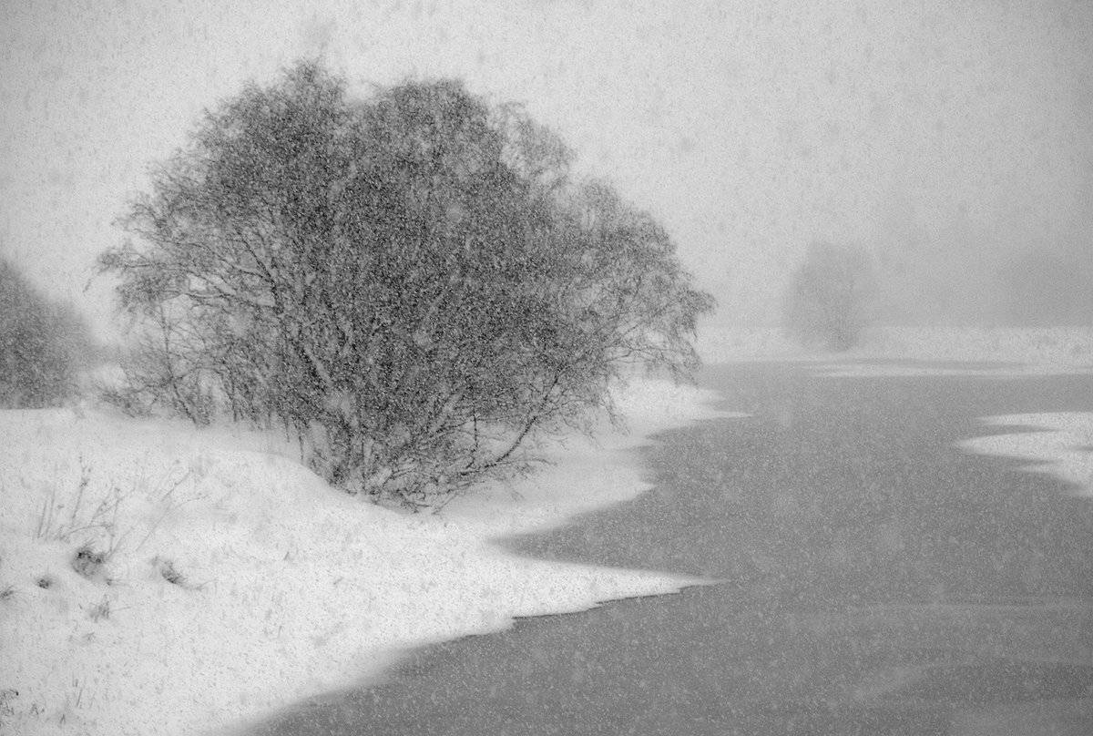 , Владимир Перепечаев