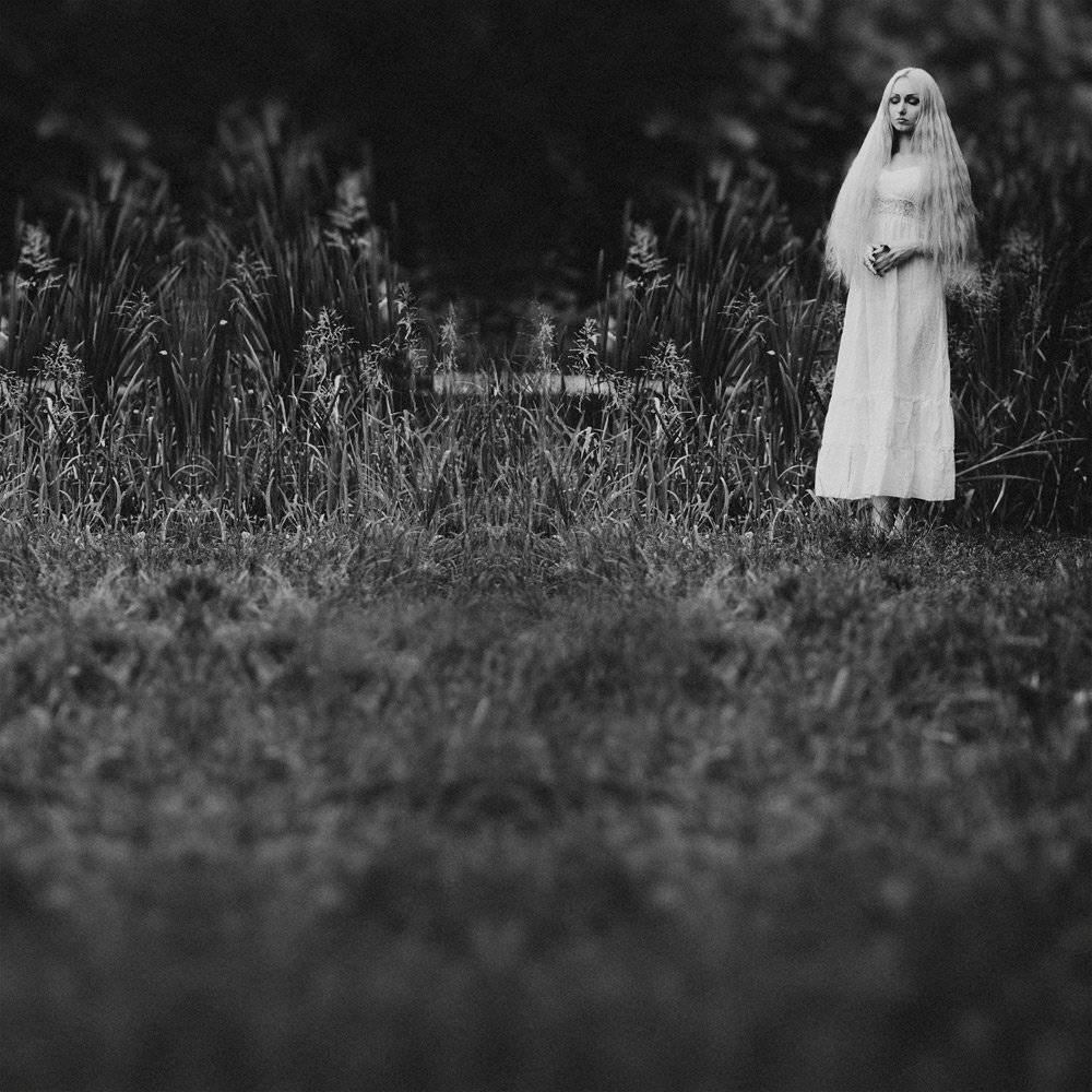 , Михалакий Дмитрий