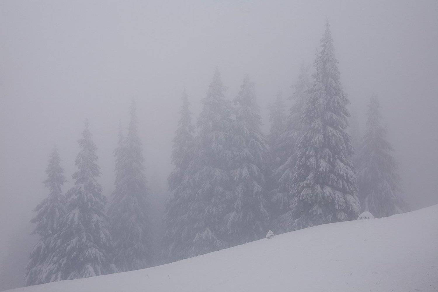 украина, карпаты, поход. новый год, Андрей Chogori Громов