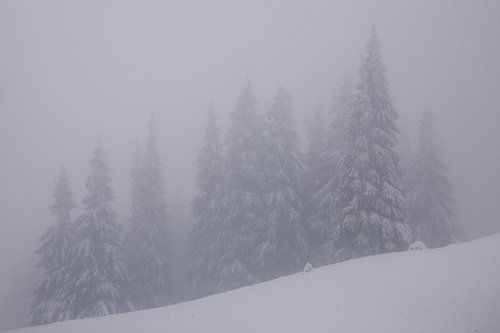 Небесные жители