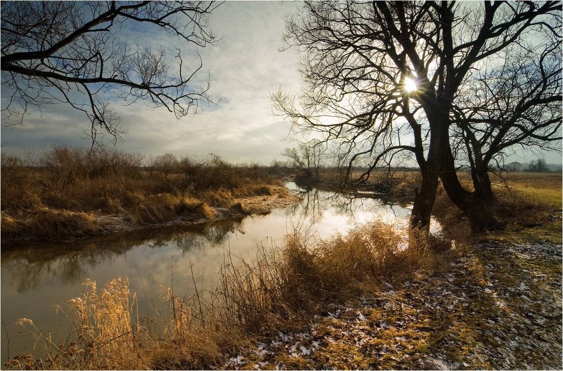 , Николай Шахманцир